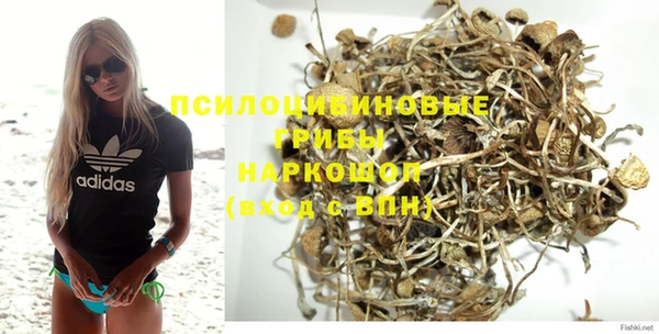гидропоника Арсеньев